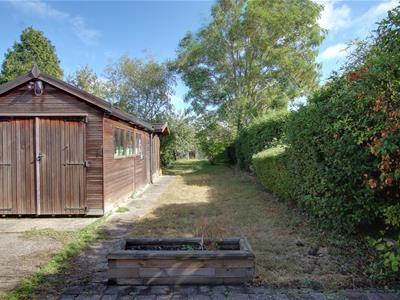 Picture 16